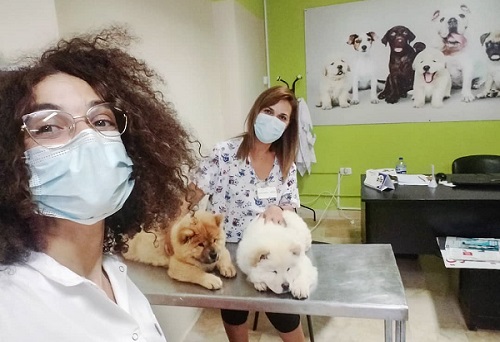 Clinique Vétérinaire Bardo 1 | Dr Amira Ben Zdira