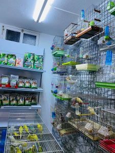 nourriture pour oiseaux / cages canaris à nouvelle medina