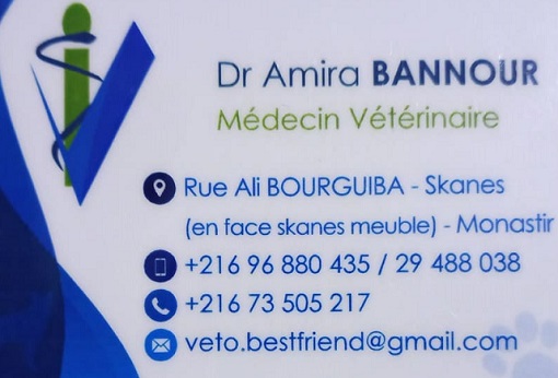 vétérinaire dr Amira Bannour / veto best friend à Monastir