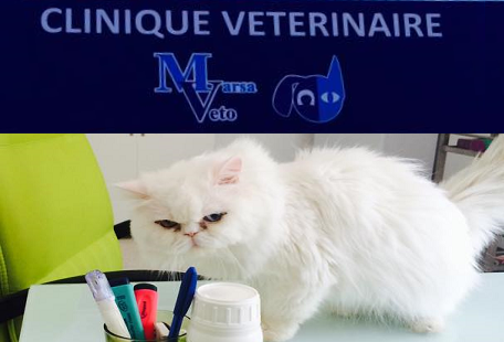 clinique vétérinaire Marsa Véto / médecin dr Hamrouni