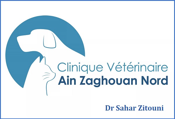 Vétérinaire à Ain Zaghouan Dr Sahar Zitouni / toilettage des animaux