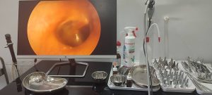 Dr Mohamed Abderraouf Harhira / Maladies du cou et de la face